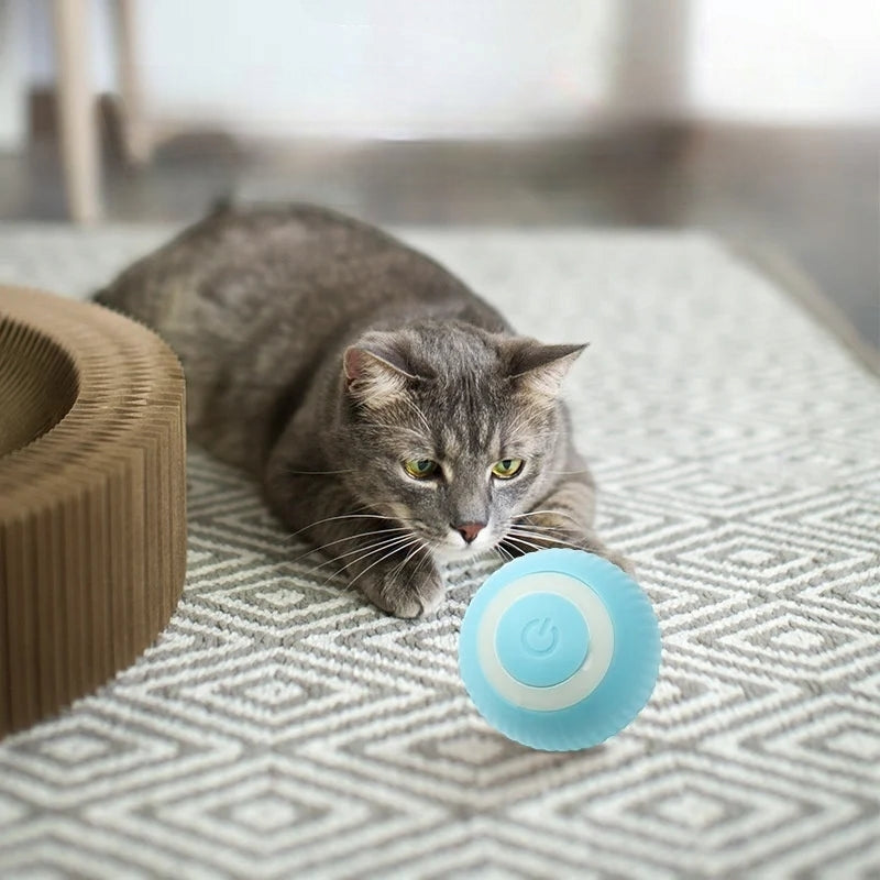 Pelota Interactiva SmartPet